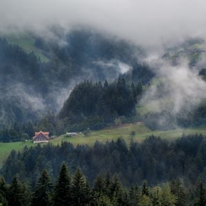 Превью обои лес, деревья, туман, домик, вид сверху, природа