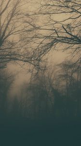 Превью обои лес, деревья, туман, темный, мрак