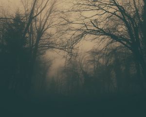 Превью обои лес, деревья, туман, темный, мрак