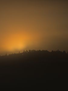 Превью обои лес, деревья, туман, природа, свет