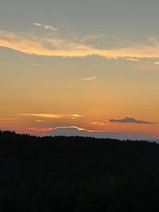 Превью обои лес, деревья, закат, небо, природа