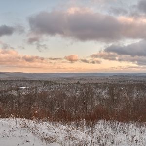 Превью обои лес, деревья, зима, пейзаж