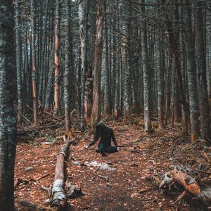 Превью обои лес, девушка, одиночество, деревья, осень