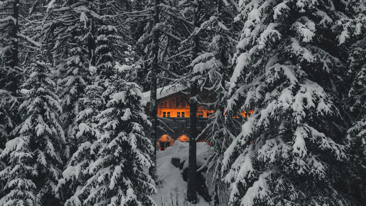 Обои лес, дом, деревья, снег, природа