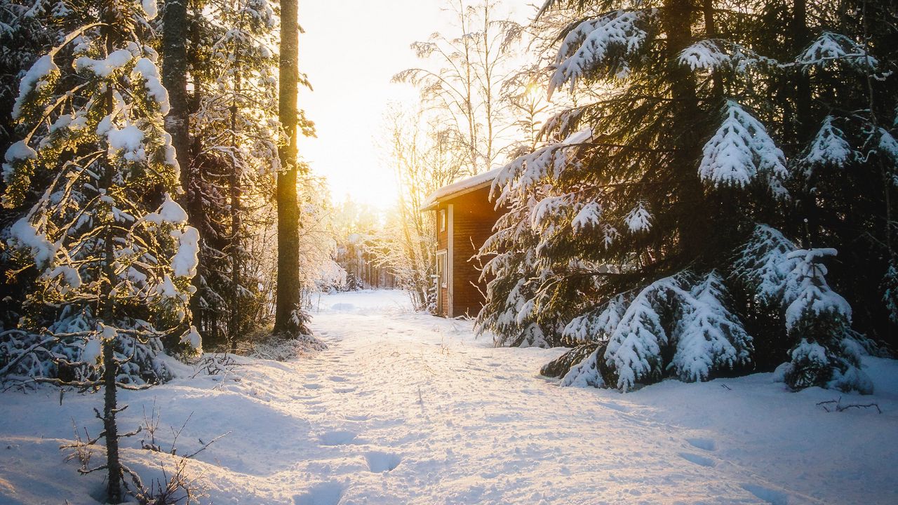 Обои лес, дом, снег, зима, солнечный свет
