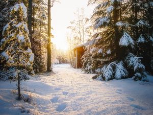 Превью обои лес, дом, снег, зима, солнечный свет