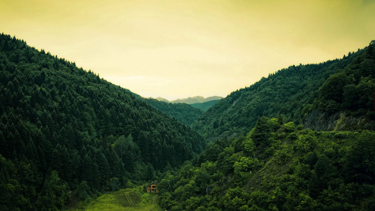 Обои лес, домик, глушь, горы, зеленый картинки на рабочий стол, фото  скачать бесплатно