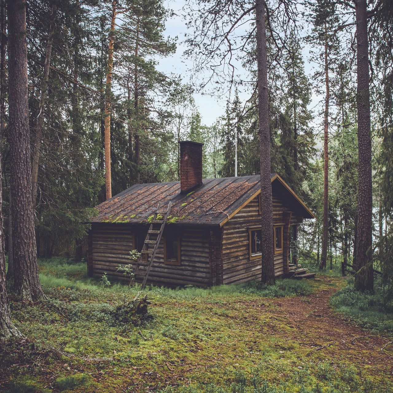 Дом лесника. Домик на опушке леса. Лесные домики. Строительство в лесу. Загадка домик в лесу.