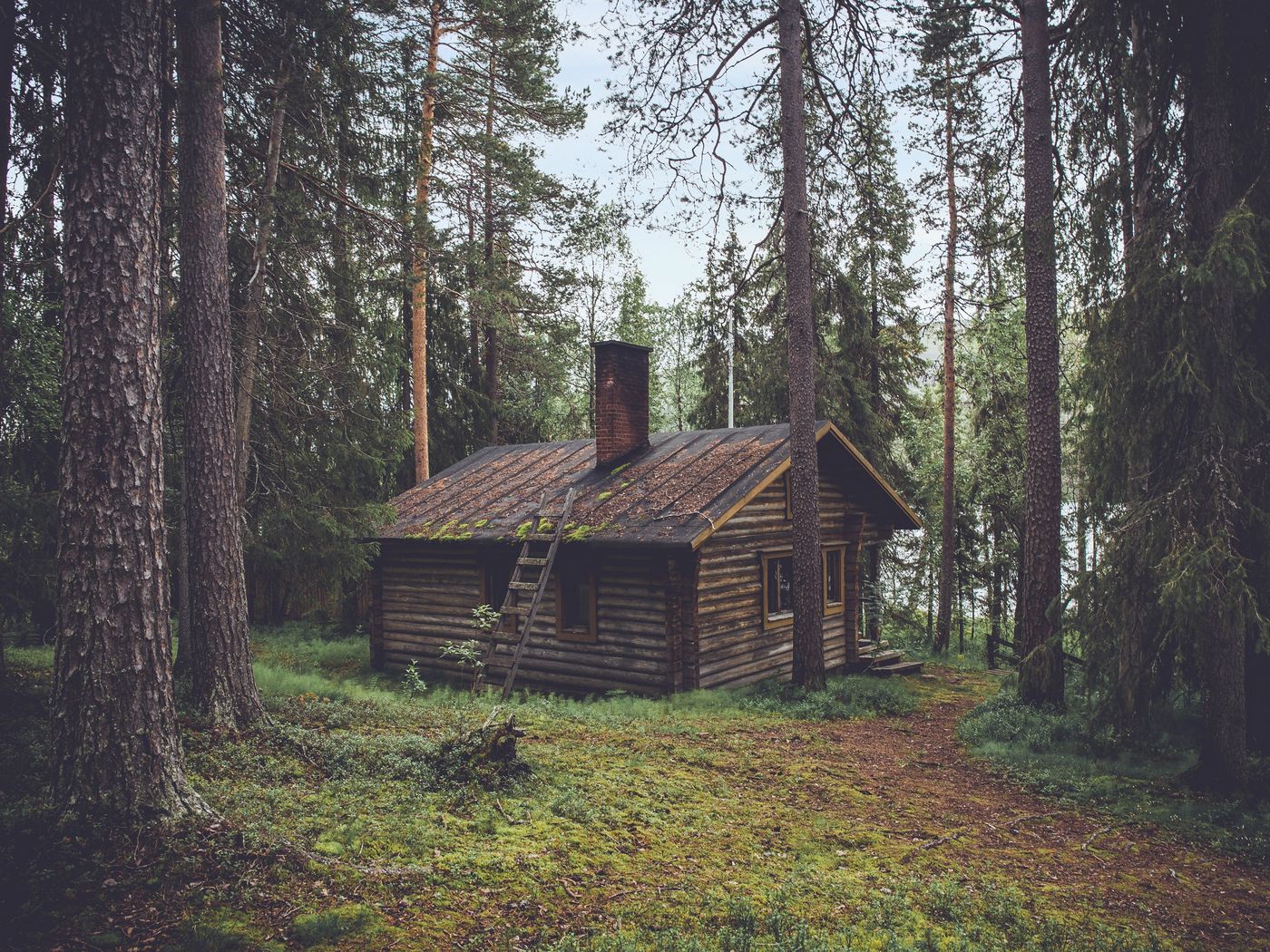 Домик лесника Зеленогорск