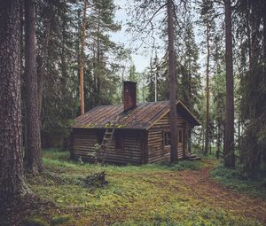 Превью обои лес, домик, лето