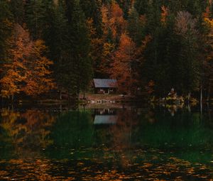 Превью обои лес, домик, осень, озеро, италия