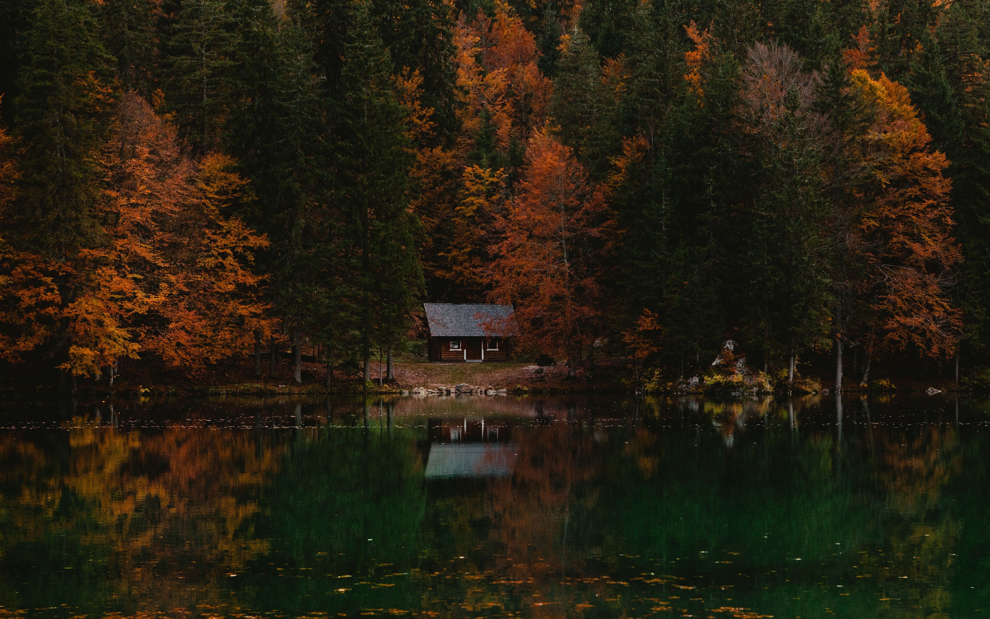 озеро и домик в лесу
