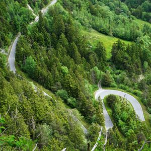 Превью обои лес, дорога, изгибы, вид сверху