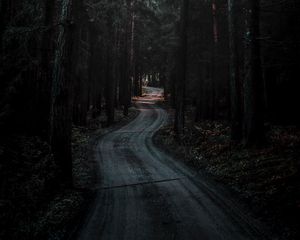 Превью обои лес, дорога, извилистый, темный, природа