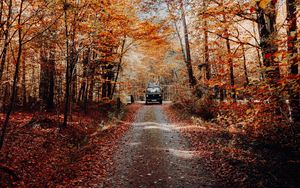 Превью обои лес, дорога, машина, осень, природа