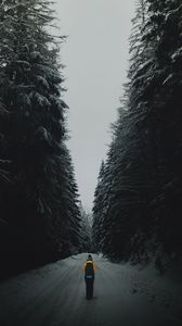 Превью обои лес, дорога, силуэт, снег, зима, сумерки