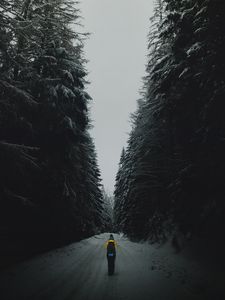 Превью обои лес, дорога, силуэт, снег, зима, сумерки