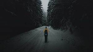Превью обои лес, дорога, силуэт, снег, зима, сумерки