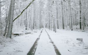 Превью обои лес, дорога, снег, деревья, зима