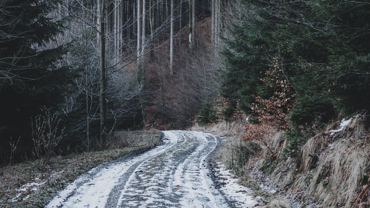 Обои лес, дорога, снег, зима, природа