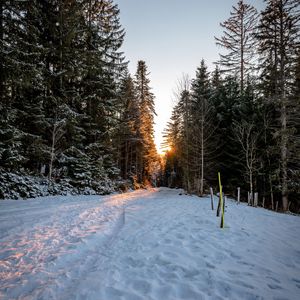 Превью обои лес, дорога, снег, рассвет, природа