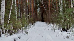 Превью обои лес, дорога, снег, природа, зима