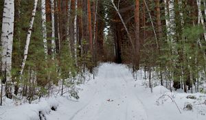 Превью обои лес, дорога, снег, природа, зима