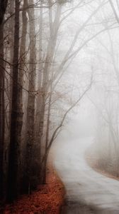 Превью обои лес, дорога, туман, осень, поворот