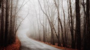 Превью обои лес, дорога, туман, осень, поворот
