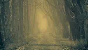 Превью обои лес, дорога, туман, деревья, осень, мрачный, атмосфера