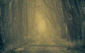 Превью обои лес, дорога, туман, деревья, осень, мрачный, атмосфера