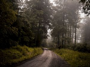 Превью обои лес, дорога, туман, поворот, деревья, трава