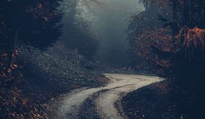 Превью обои лес, дорога, туман, деревья, осень, природа