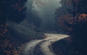Превью обои лес, дорога, туман, деревья, осень, природа