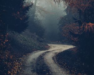 Превью обои лес, дорога, туман, деревья, осень, природа