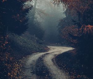 Превью обои лес, дорога, туман, деревья, осень, природа