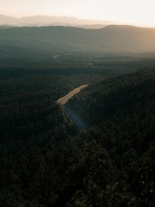 Превью обои лес, дорога, вид сверху, деревья, высота
