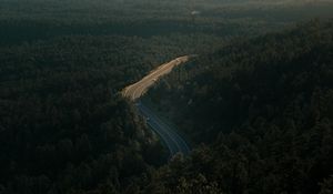 Превью обои лес, дорога, вид сверху, деревья, высота