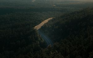 Превью обои лес, дорога, вид сверху, деревья, высота