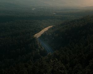 Превью обои лес, дорога, вид сверху, деревья, высота