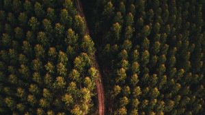 Превью обои лес, дорога, вид сверху, деревья, верхушки