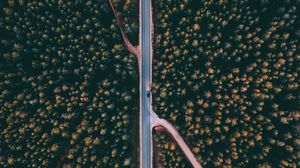 Превью обои лес, дорога, вид сверху, деревья, верхушки