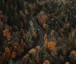 Превью обои лес, дорога, вид сверху, обзор, высота