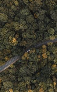 Превью обои лес, дорога, вид сверху, деревья, верхушки, машина