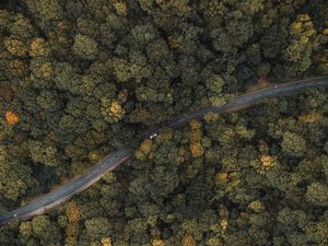 Превью обои лес, дорога, вид сверху, деревья, верхушки, машина