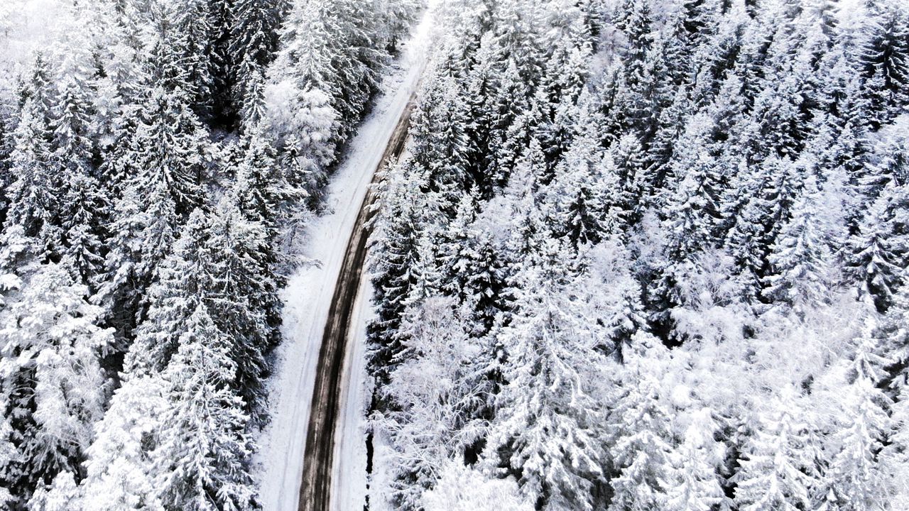 Обои лес, дорога, вид сверху, снег, зима