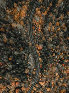 Превью обои лес, дорога, вид сверху, извилистый, природа