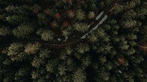Превью обои лес, дорога, вид сверху, деревья, лужи
