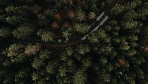Превью обои лес, дорога, вид сверху, деревья, лужи