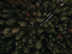 Превью обои лес, дорога, вид сверху, деревья, лужи